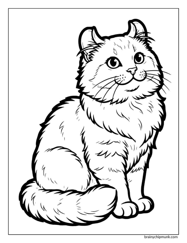 Coloring page of a fluffy, smiling cat sitting upright. The cat has long fur, bushy tail, and alert curled ears.