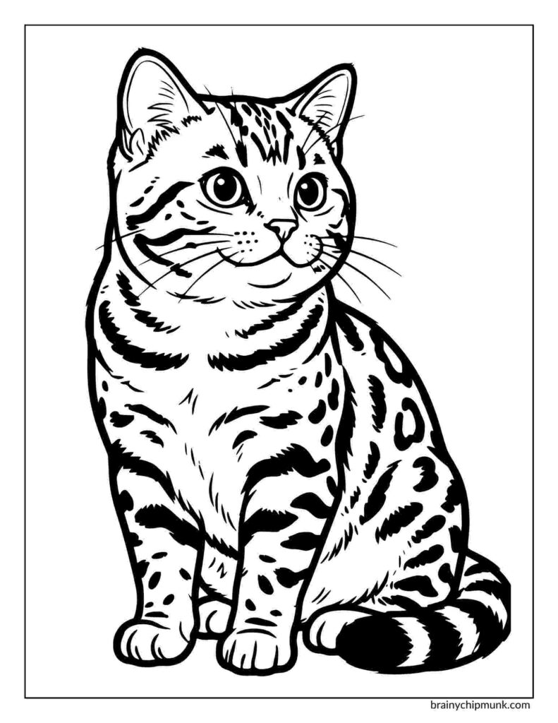 Coloring page of a sitting Bengal cat with intricate stripes and spots, wide eyes, and a calm expression. Black outlines emphasize its patterned fur.