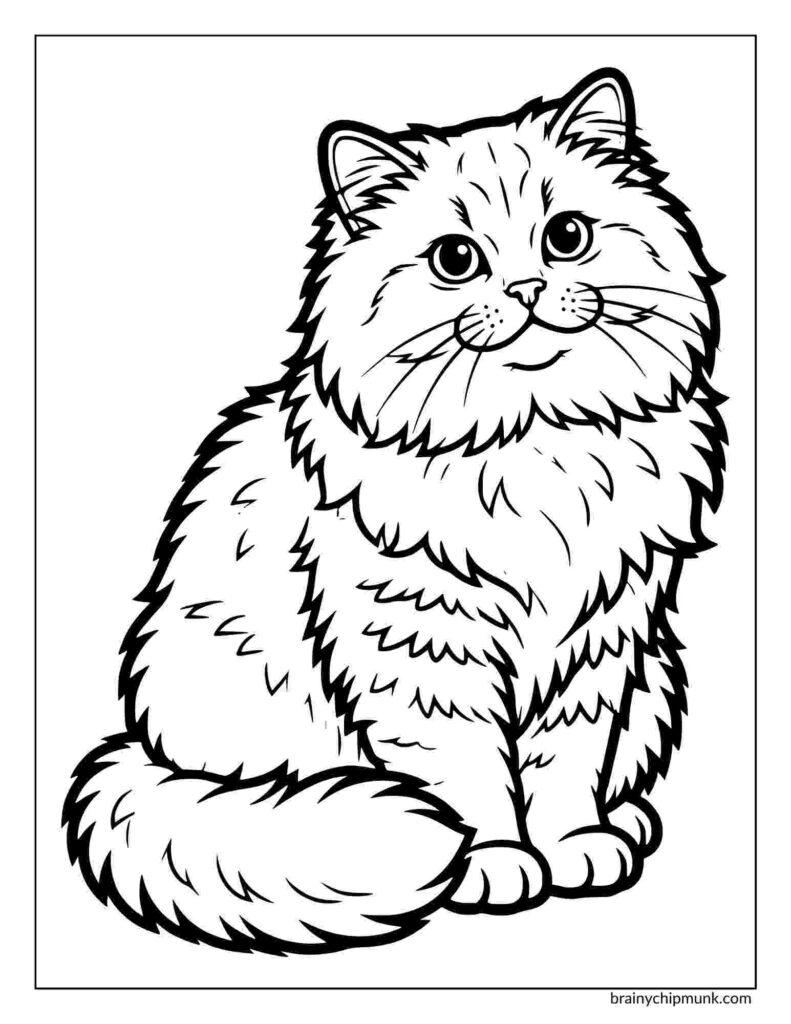 Coloring page of a fluffy, wide-eyed cat sitting. The cat has thick, wavy fur and a friendly expression, conveying a cute and playful tone.