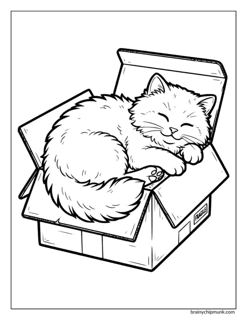 A fluffy cat peacefully sleeps in an open cardboard box. The image is a black-and-white coloring page.