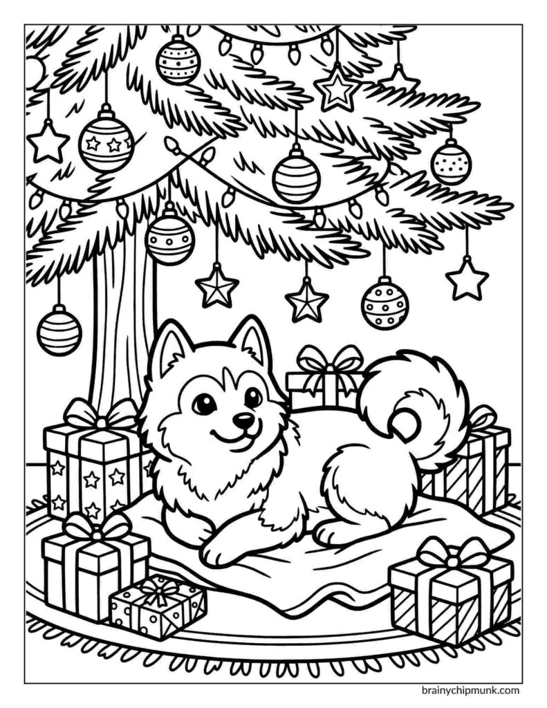 42 Cute Husky Coloring Pages A fluffy husky coloring page who happily lies on a blanket under a decorated Christmas tree with ornaments. Surrounding it are wrapped gifts, creating a festive atmosphere.