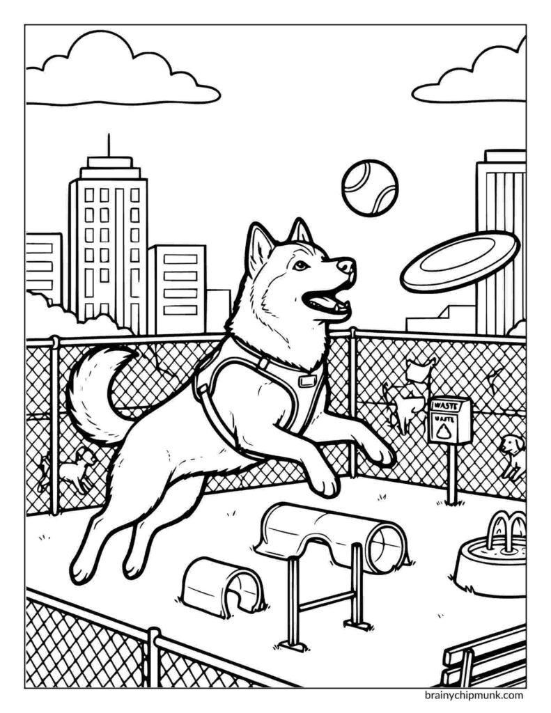42 Cute Husky Coloring Pages Coloring page of a husky dog, wearing a harness, jumps energetically, chasing a ball and frisbee in a fenced dog training centre. Urban skyline and playful atmosphere in the background.