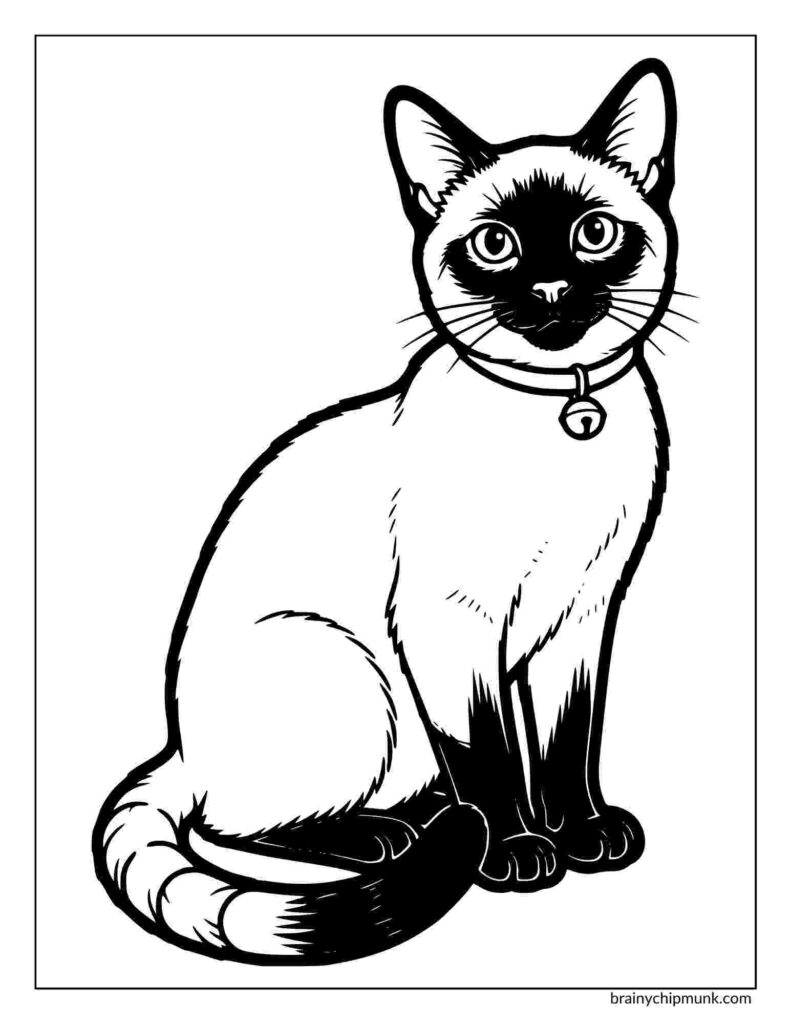 Illustration of a seated cat with a shaded face, ears, and paws, wearing a bell collar. The cat appears alert and curious in a simple outline style.