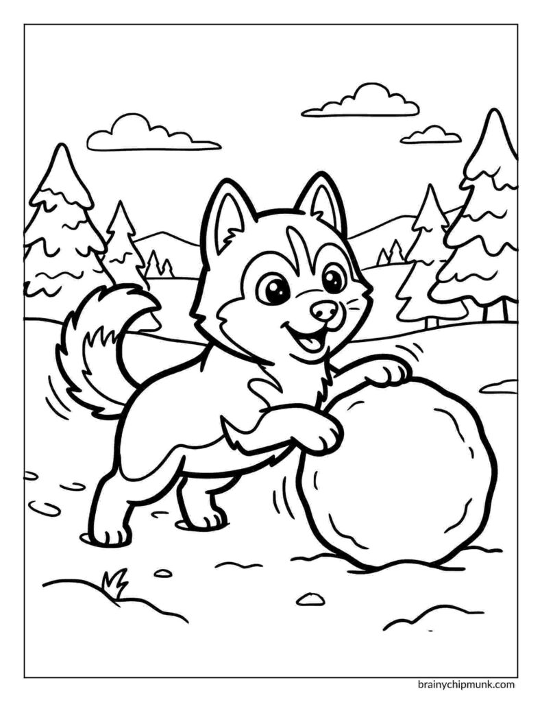 42 Cute Husky Coloring Pages Coloring page of a husky puppy joyfully plays with a large snowball in a snowy forest with pine trees under a partly cloudy sky, conveying playful happiness.