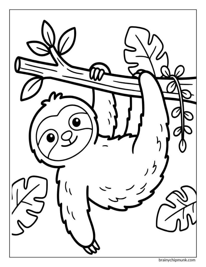 Sloth hanging from a branch coloring page.