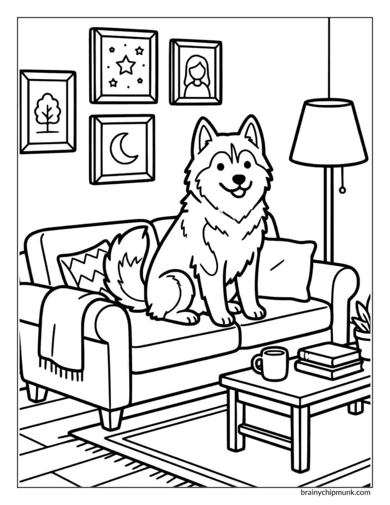 42 Cute Husky Coloring Pages A fluffy husky sits happily on a cozy sofa in a living room coloring page. The space features a floor lamp, artwork on the wall, and a coffee table with a mug and books.